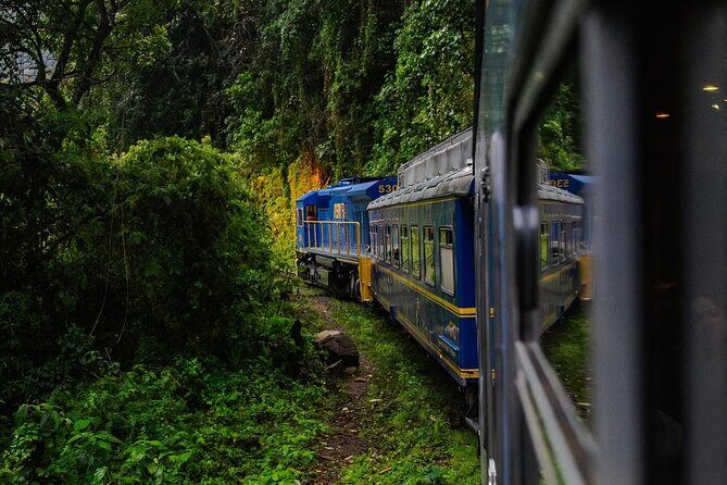 1-Day Tour to Machu Picchu by Train with Entrance Circuit 3 - Your Guided Visit: About 2 Hours on the Citadel