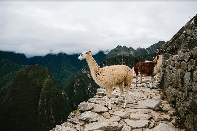 2 day hike to Machu Picchu - Chachabamba: where the hike starts with meaning
