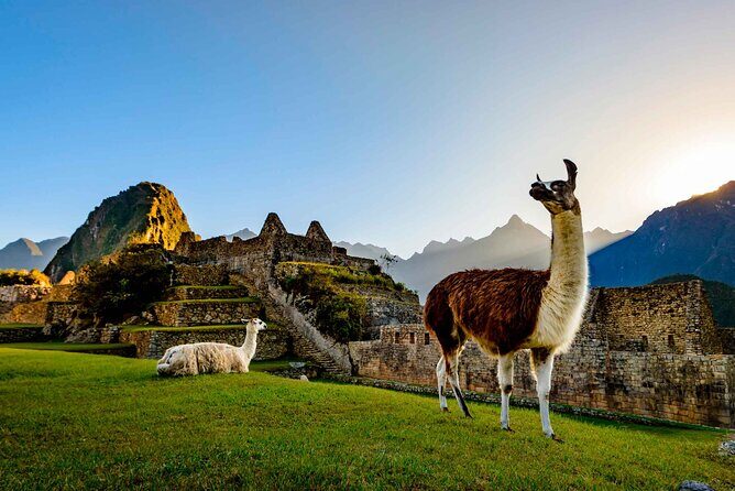 2 Day Sacred Valley and Machu Picchu Tour - Machu Picchu at Citadel Time: Guided Tour, Then Freedom