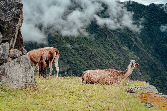 2 Day Sacred Valley & Machu Picchu Tour from Cusco - Ollantaytambo: the Inca engineering you feel in your feet