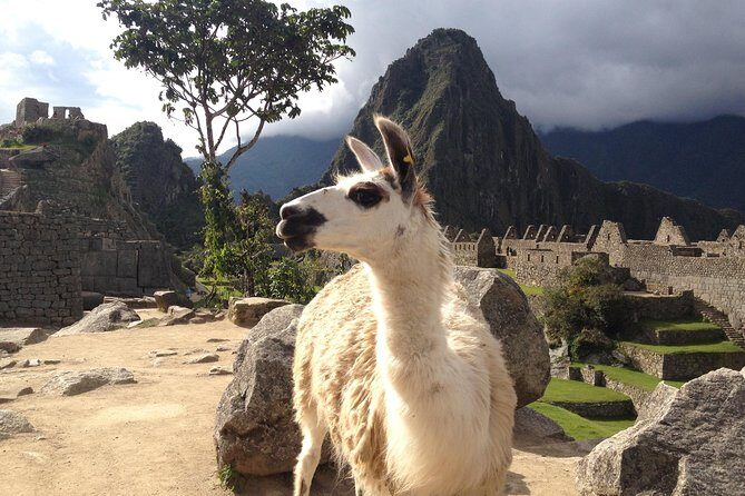 2 Day Sacred Valley Tour & Machu Picchu - Sunrise at Machu Picchu: why Aguas Calientes is the smart move
