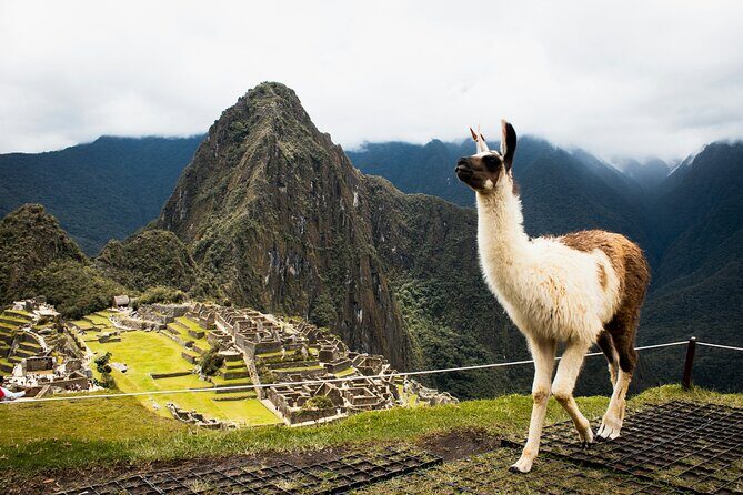 2-Day Short Inca Trail to Machu Picchu with Scenic Train - Intipuncu (Sun Gate) and that first big Machu Picchu reveal