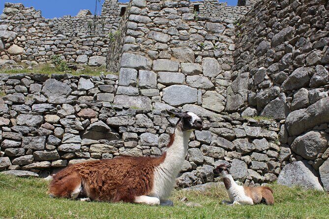 2-Day Tour at Sacred Valley and Machu Picchu by Train - Why This 2-Day Train Plan Works (and When It Doesn’t)