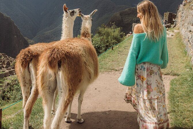 2-Day Tour Machu Picchu by Panoramic Train + Sacred Valley - Cusco Pickup and Sacred Valley Intro Stops (Awana Kancha and Taray)