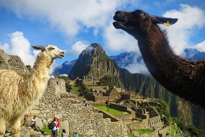 2 Days and 1 Night Private Tour in Machu Picchu and Huayna Picchu - Price and logistics: what you pay $550 for, and what that buys you
