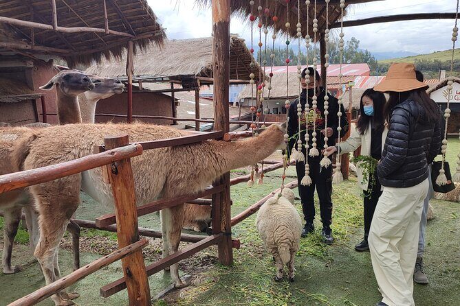 2 Days Sacred Valley Private Tour and Sunrise in Machu Picchu - Aguas Calientes Overnight: Where the Next Day Starts