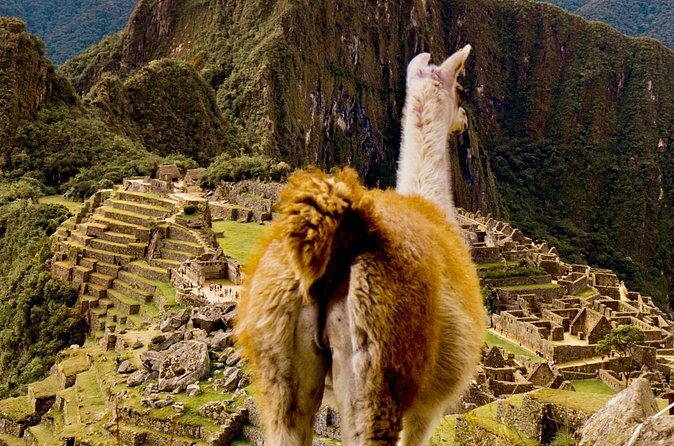 2 Days Tour to Machu Picchu by Train - The Return: Walk Back, Museum Visit, and Dinner-Not-Included Reality