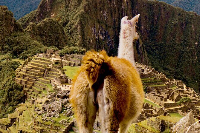 2 Days Tour to Machu Picchu by Train - Cusco Pickup and the Day 1 Transfer to Ollantaytambo