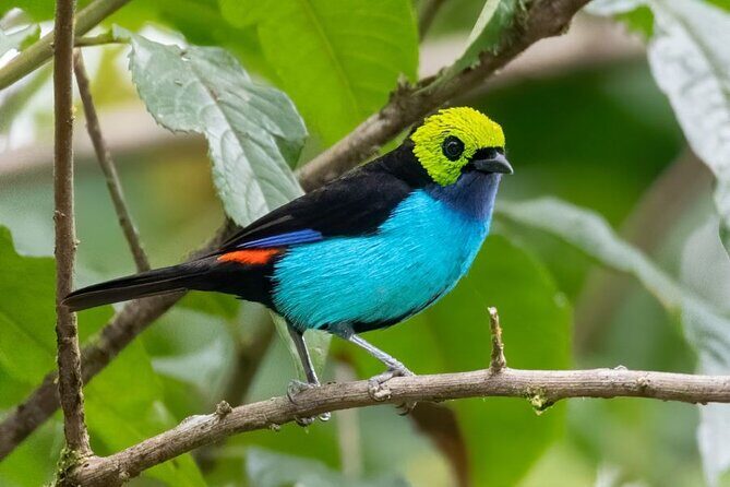 3 Day Manu Amazon Rainforest (Private Tour) - Cusco to Manu: why this 3-day route works