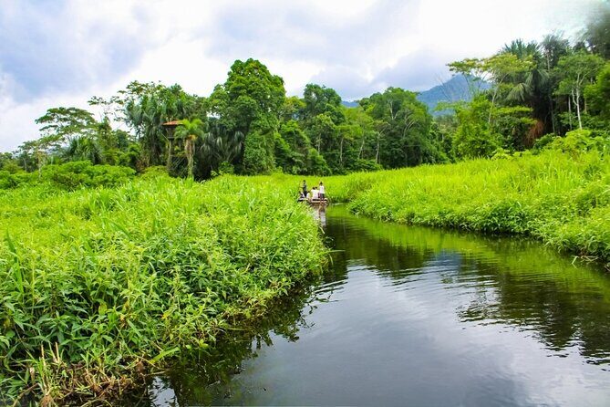 3 Day Manu Amazon Rainforest (Private Tour) - Lodging and daily comfort: what to expect at the lodge level