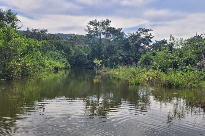 3 Days Amazon Jungle Tour in Manu Peru - Entering the Amazon by canoe: Day 2 and the Madre de Dios clay lick show