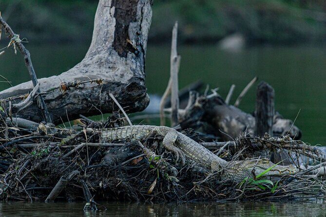 3 Days Amazon Manu Nature – 3 Days - Price and what you’re actually buying at $440 per person