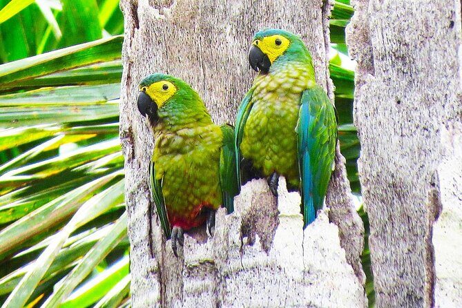 3 Days Amazon Manu Nature – 3 Days - Comfort and communication: the small stuff that can make or break the day