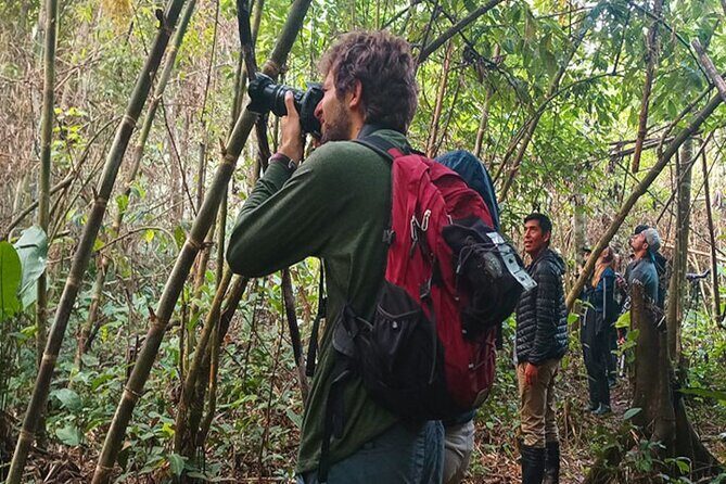 3 Days Guided Manu Jungle Tour from Cusco - Day 1 in the rainforest: hikes, plants, birds, and an evening that can surprise you