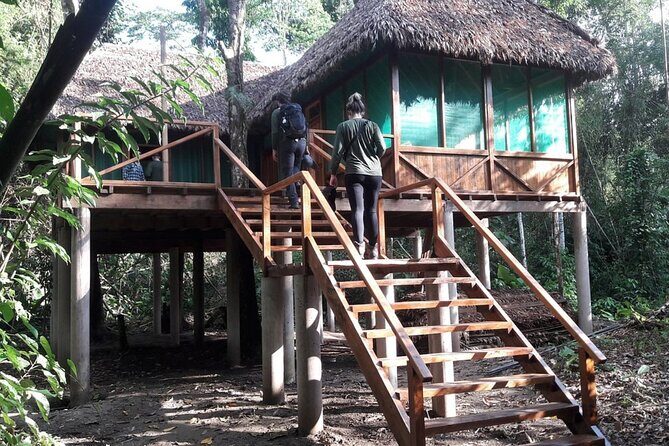 3 Days Guided Manu Jungle Tour from Cusco - Dawn at the Macaw Clay Lick: the highlight that drives the whole trip
