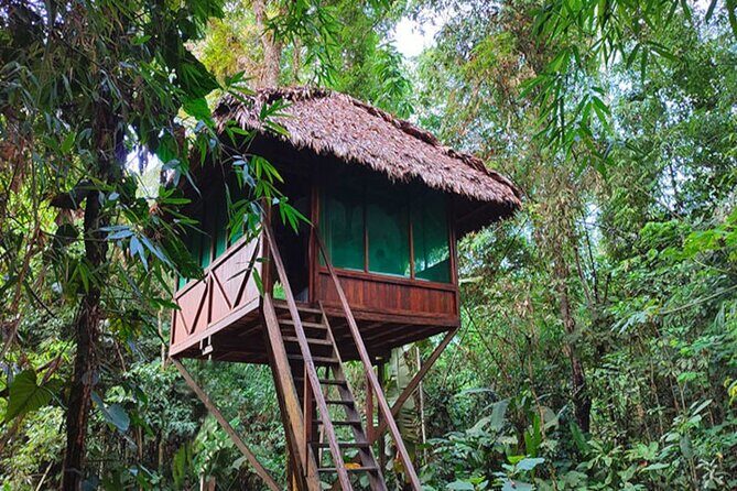 3 Days Guided Manu Jungle Tour from Cusco - Price and what you’re really getting for $707
