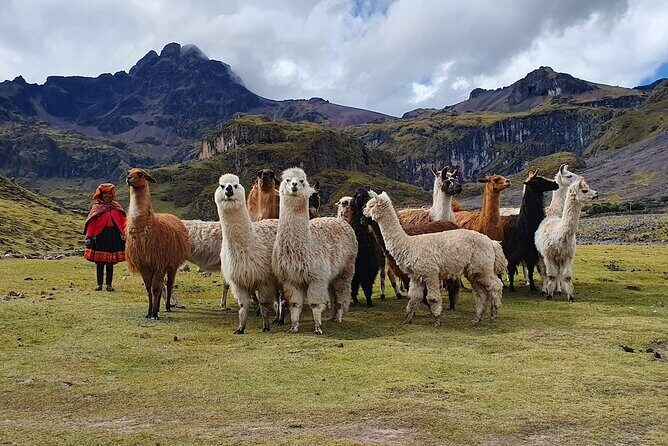 4 Day Lares Trek to Machu Picchu 2024 - Altitude reality check: 3,900m camps to a 4,750m pass