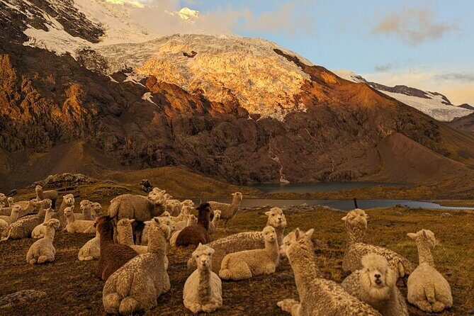 4-Day Tour in Ausangate Trek and Rainbow Mountain of Cusco - Camps, food, and the small comforts you’ll feel at altitude