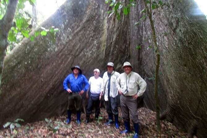 4-Day Wildlife Tour: Manu Peruvian Jungle - Health and weather basics you can’t skip