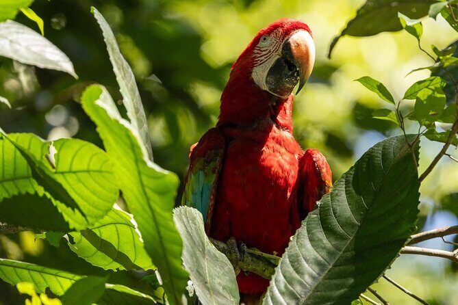 4 Days Manu Park Tour - Atalaya on the River: Lunch With a Jungle Feel