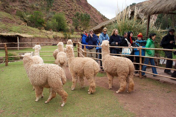 5-Day Tour Empire of the Incas Adventure - FAQ