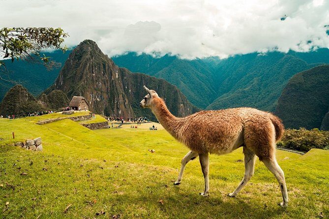 5 Days: Cusco, Sacred Valley, MachuPicchu and Rainbow Mountain - Hotel, breakfasts, and included lunches: where this tour’s price starts to make sense