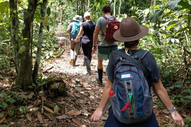 5 - Days Manu Jungle Tour with Hot Springs and Falls - Day 4: Shintuya waterfalls by boat, then a thermo-medicinal soak