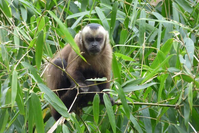 5 - Days Manu Jungle Tour with Hot Springs and Falls - Jungle comfort that helps you enjoy the trip