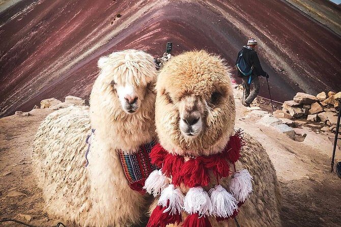 7 Colors Mountain Tour: Explore the Magic of Vinicunca in 1 Day - Key highlights you’ll feel fast