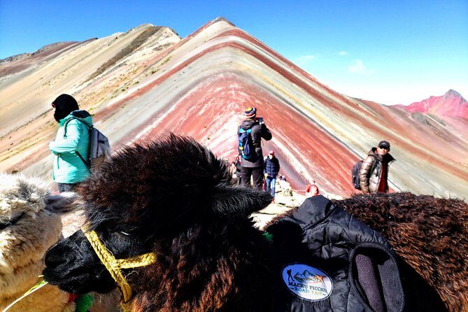 7 Colors Mountain Tour - Vinicunca - The Fulawasi Walk to Vinicunca: Timing, Pace, and Real Effort