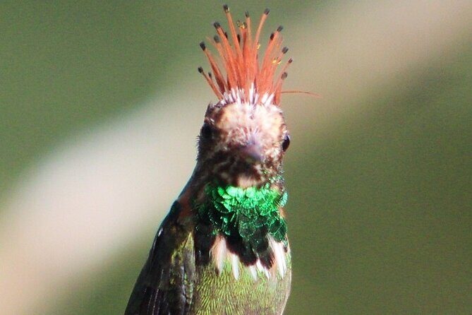 7 days/6 nights Tour reserved area Manu National Park in Cusco - Cusco to Manu: Why This Schedule Works