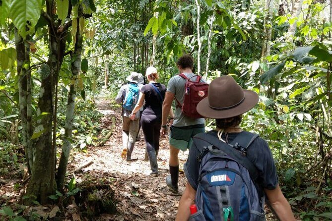 7 days/6 nights Tour reserved area Manu National Park in Cusco - Lodges, Rooms, and Comfort: What You Get (and What to Watch)