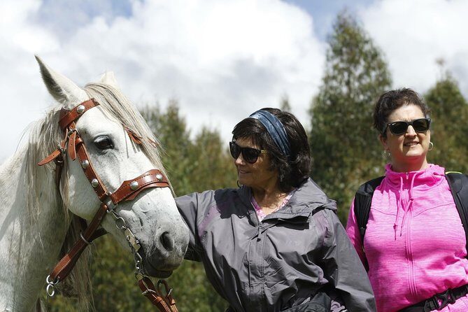 Adrenalin Mystic Tour Full Service - What’s included (and what you should plan for)