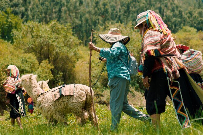Alpaca Walk & Natural Dye Tour: A Memorable Full Day Experience - Key highlights you’ll care about