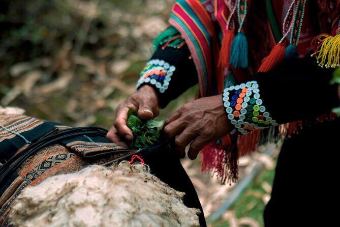 Alpaca Walk & Natural Dye Tour: A Memorable Full Day Experience - Alpaca ceremony: culture, care, and respect