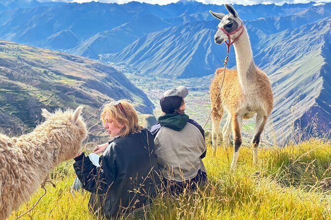 Alpaca Walk over the Sacred Valley of the Incas from Cusco - Alpacas and llamas as the pacing tool (not just decoration)