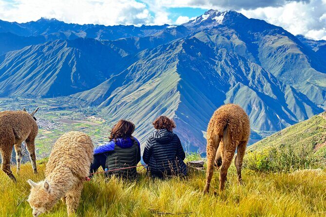 Alpaca Walk over the Sacred Valley of the Incas from Cusco - The Sky Dome Peru family touch: Cidelia, Yoel, and Joel’s stories