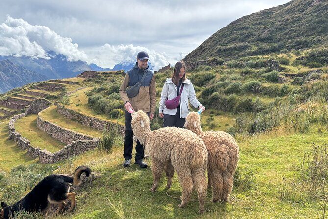 Alpaca Walk over the Sacred Valley of the Incas from Cusco - Price and timing: what $40 buys you in a short 2-hour slot