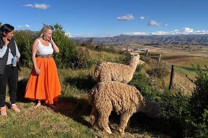 Alpaca Walk over the Sacred Valley of the Incas from Cusco - Chinchero: terraces, a church on Inca foundations, and Quechua culture you can feel