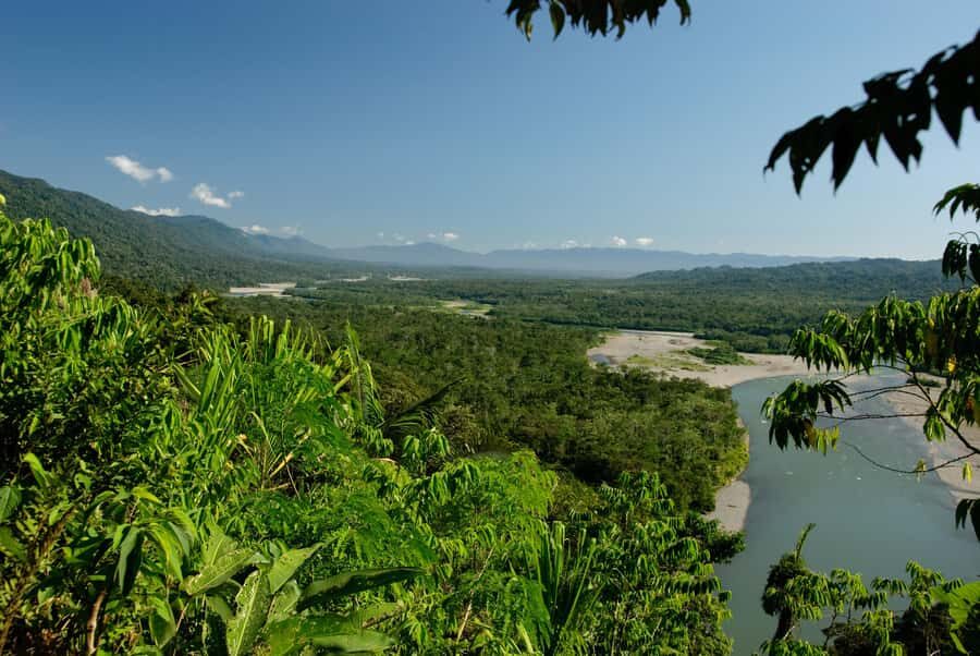 Amazonas Manu Cultural Zone 4 Days / 3 Nights - Night hiking for insects, amphibians, and snakes