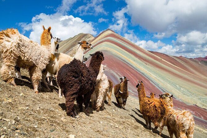 ATV's Rainbow Mountain and Red Valley Tour from Cusco - Cusco to Cusipata breakfast: fueling for altitude without overthinking it