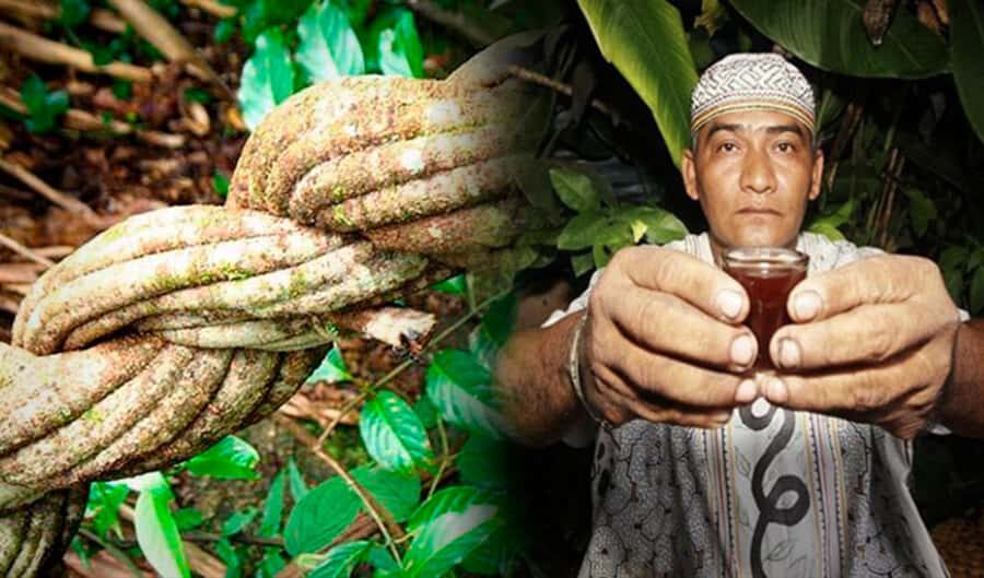 Ayahuasca Ceremony 1 Day in Cusco - Key things I’d underline before you go