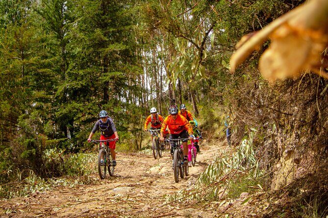 Bike and Ceviche Tour in Cusco - MTB - Key Highlights You’ll Actually Care About