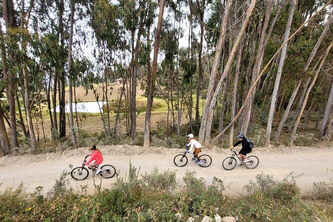Bike and Ceviche Tour in Cusco - MTB - Timing and Pace: How to Plan Your Day Around 4–5 Hours