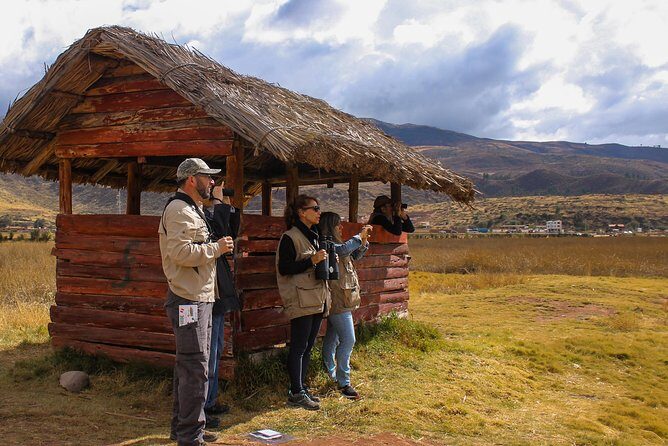 Birdwatching at Huacarpay Wetland in Cusco - Huacarpay Wetland: a bird morning just outside Cusco