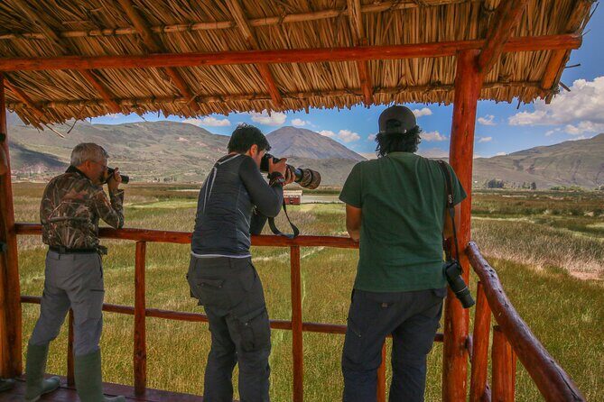 Birdwatching at Huacarpay Wetland in Cusco - Guides who can name birds fast: Jose and Oscar