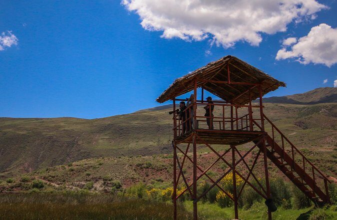 Birdwatching at Huacarpay Wetland in Cusco - 6:00 am departure and your 4-hour Huarcapay session