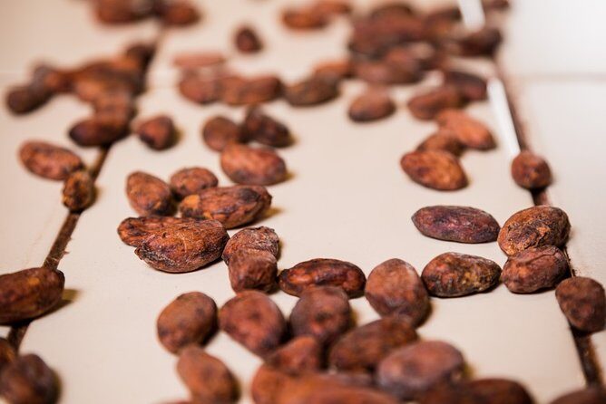 Chocolate Making Class "From the Cocoa Bean to the Bar" at Chocomuseo in Cusco - From Harvest to Chocolate: The Process You’ll Actually Understand
