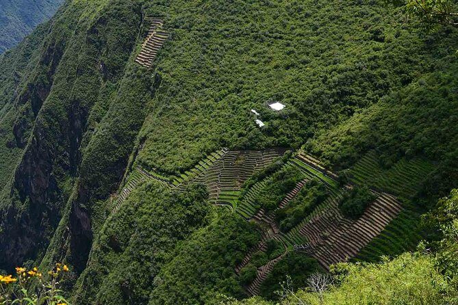 Choquequirao Trek 4 Days The Lost City of The Inkas - Camping and Food: Comfort That Actually Helps