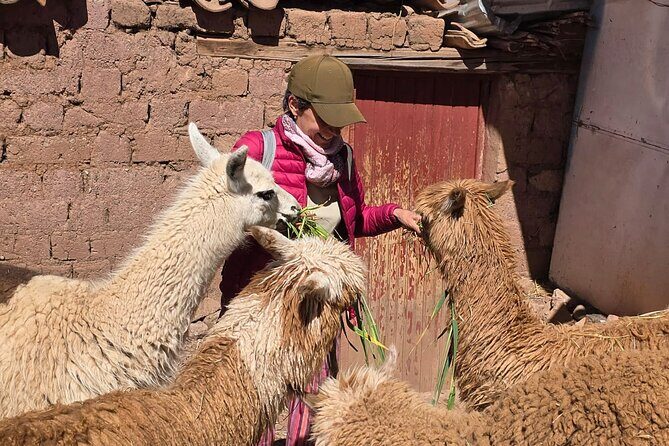 City Tour Cusco Private Transport - Pickup at Your Hotel, Backup at Plaza Regocijo